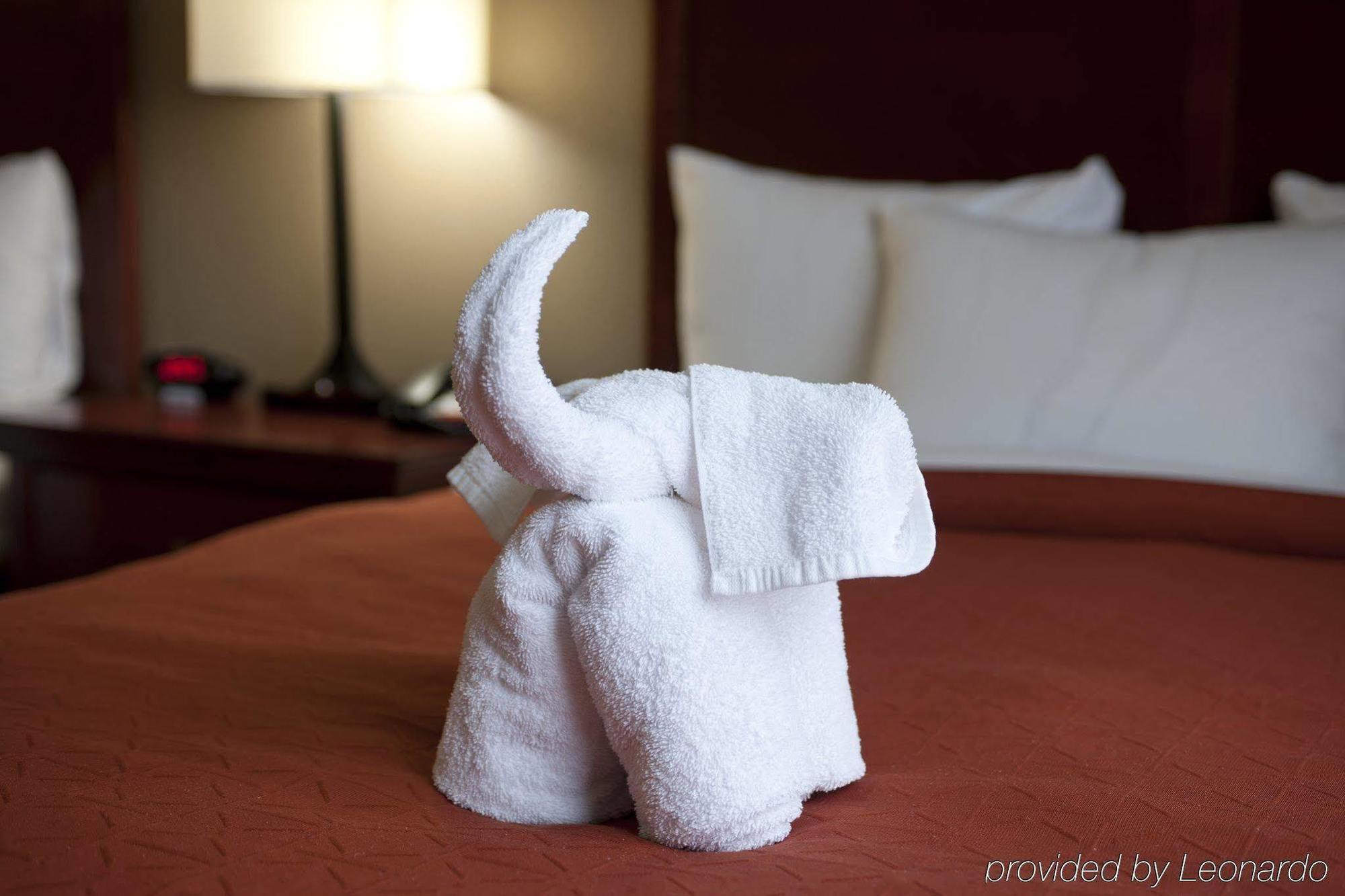 Seffner Inn And Suites 외부 사진